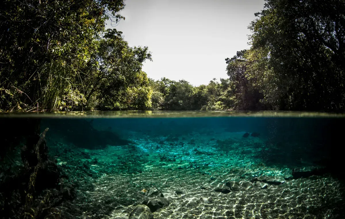 Imagem da galeria de Bonito